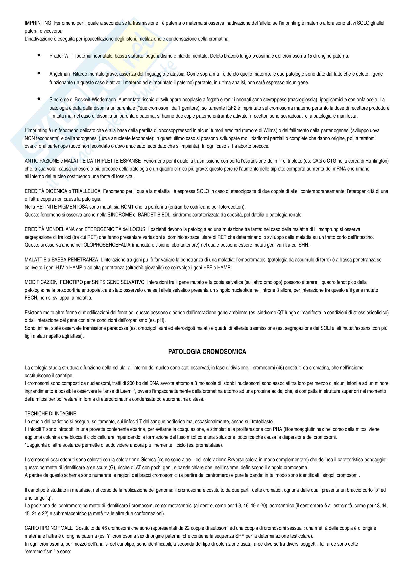 Patologia cellulare Pag. 31