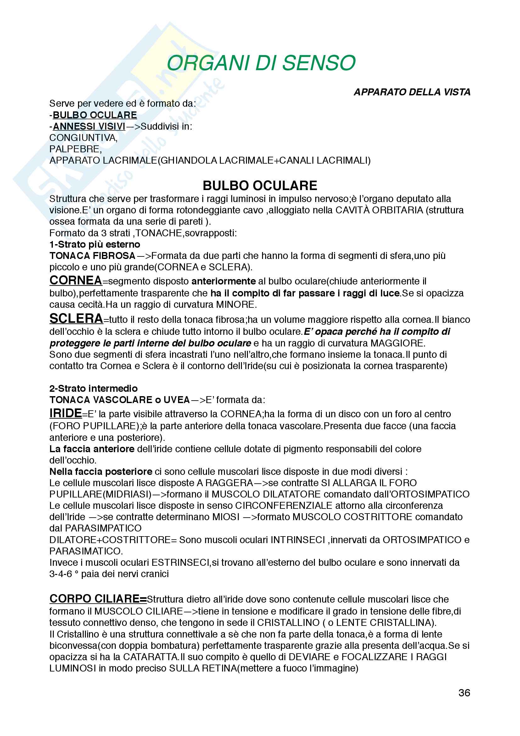 Appunti di Anatomia e Fisiologia, Primo anno, prof. Citterio, libro consigliato Fondamenti di anatomia e fisiologia di Martini e Nath Pag. 36