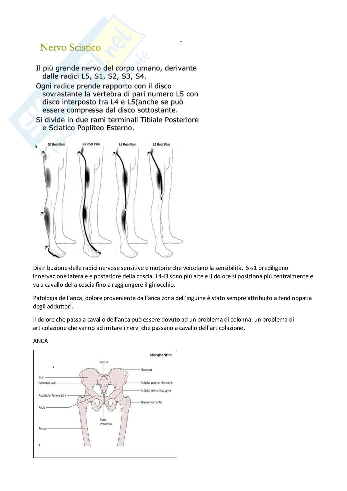 Traumatologia completo Pag. 56