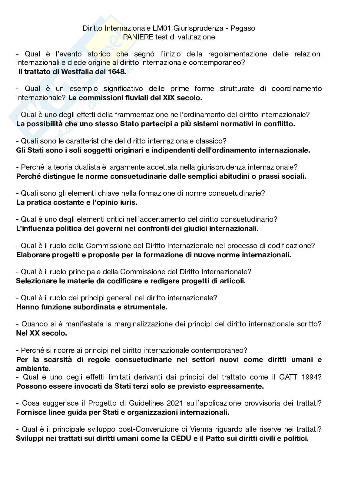 Panienre aggiornato 2025 Diritto Internazionale  Pag. 1