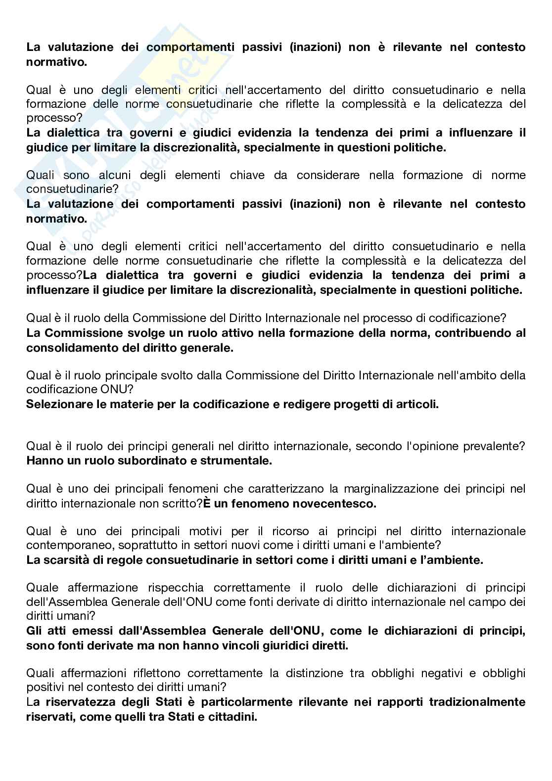 Panienre aggiornato 2025 Diritto Internazionale  Pag. 11