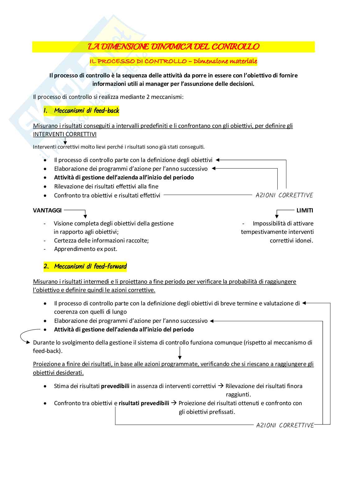 Programmazione e controllo - Appunti completi Pag. 11