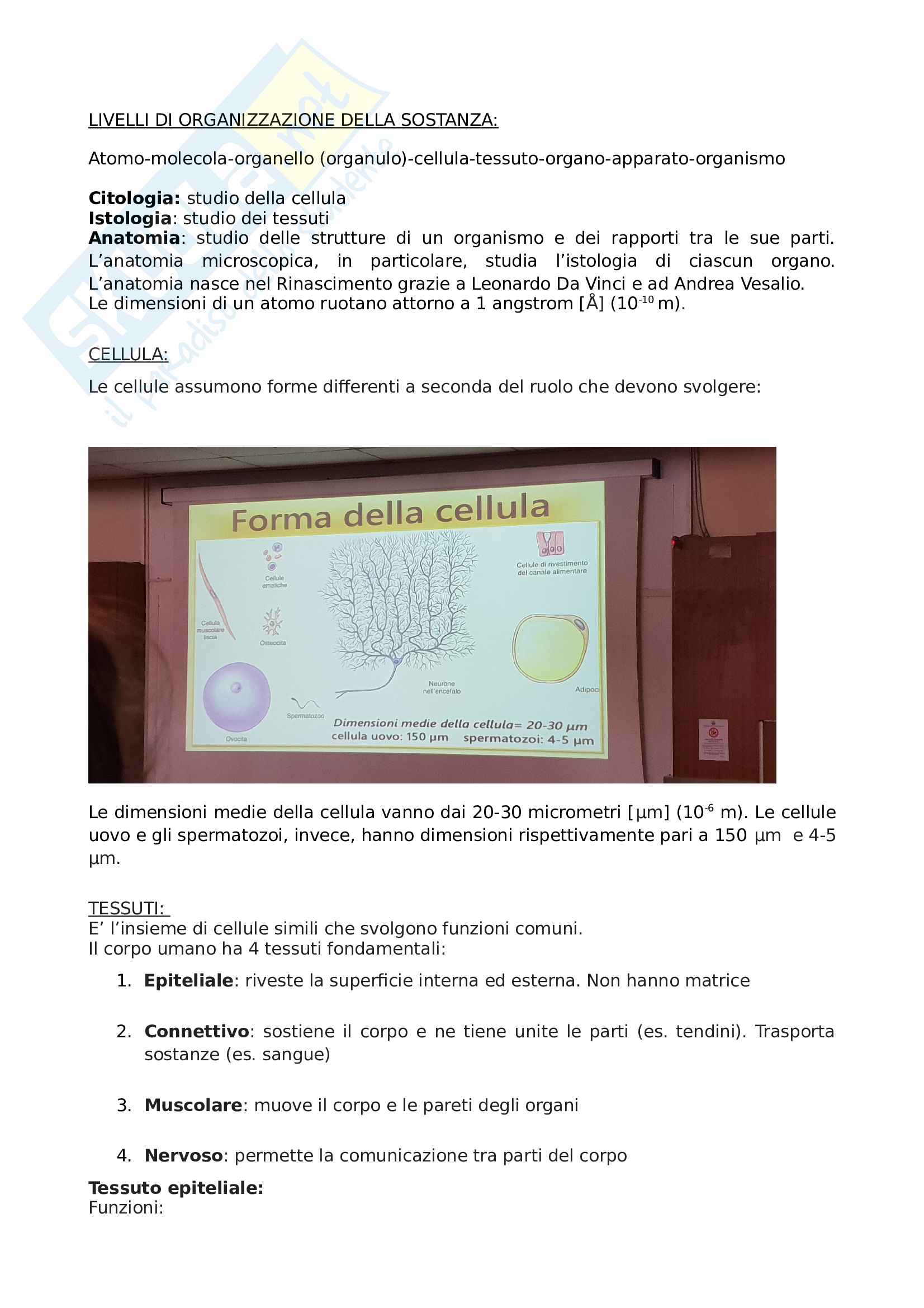 Anatomia e morfologia umana applicata (parte 1) Pag. 1