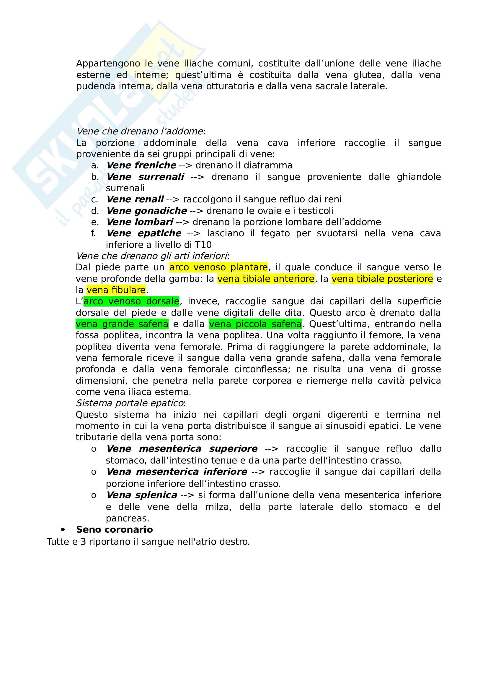 Anatomia e morfologia umana applicata (parte 1) Pag. 16