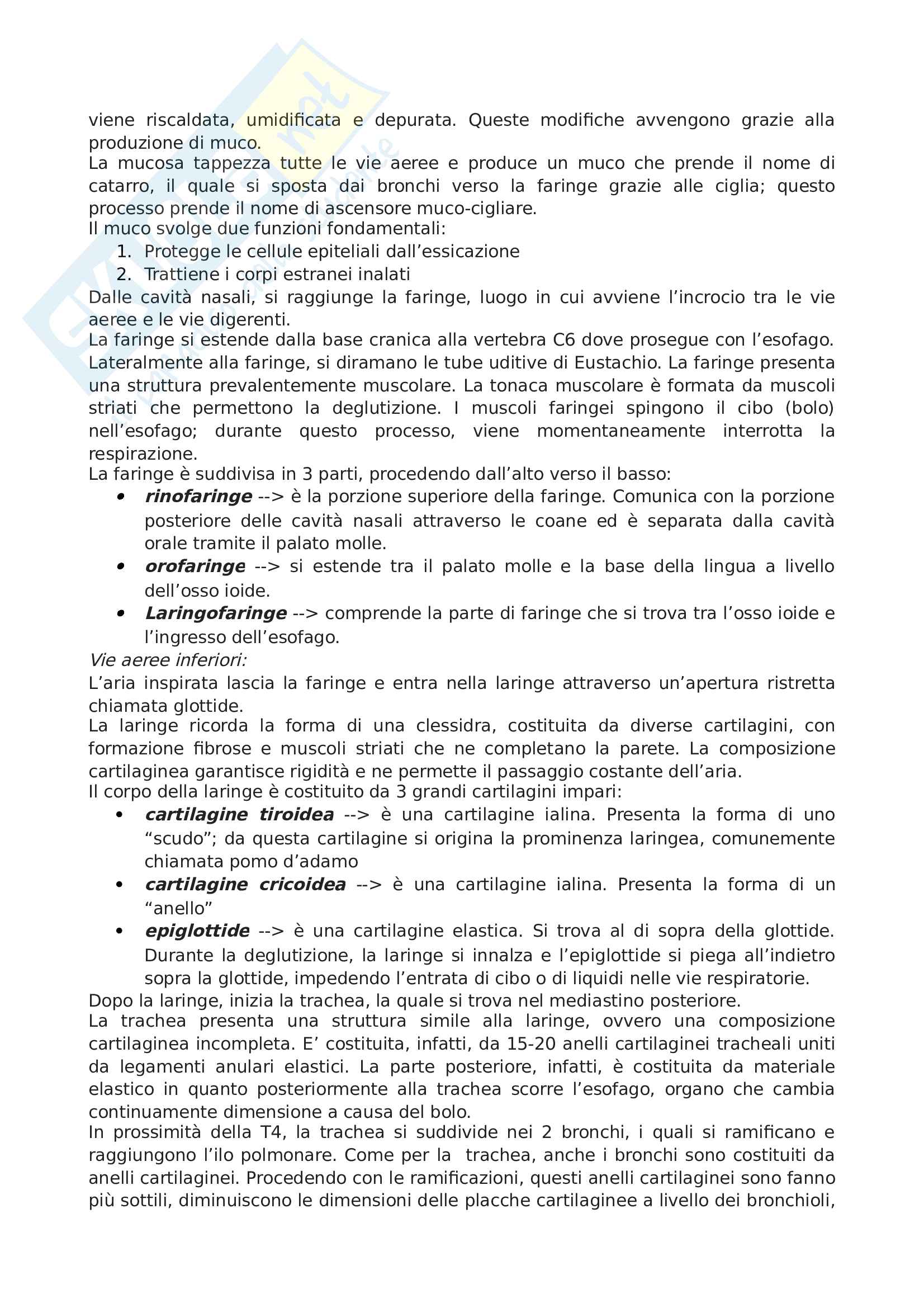 Anatomia e morfologia umana applicata (parte 1) Pag. 21