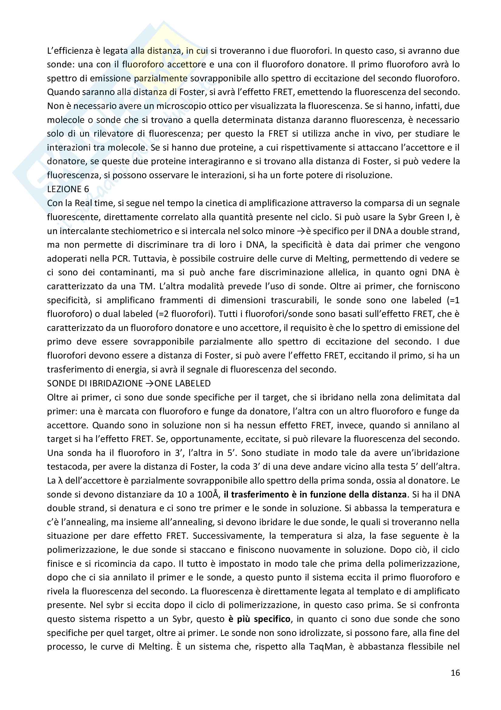 Appunti di Biologia molecolare applicata Pag. 16