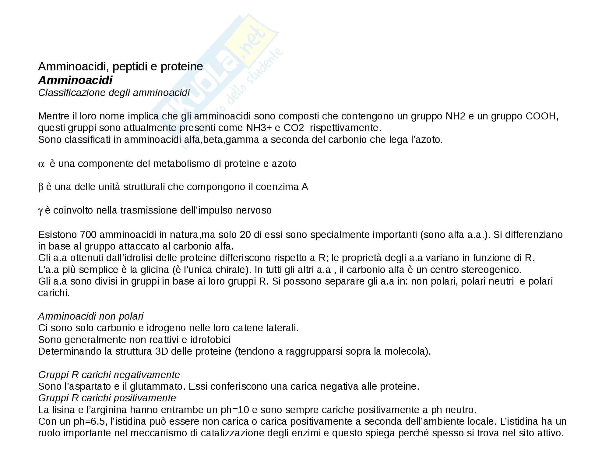 Amminoacidi Pag. 1