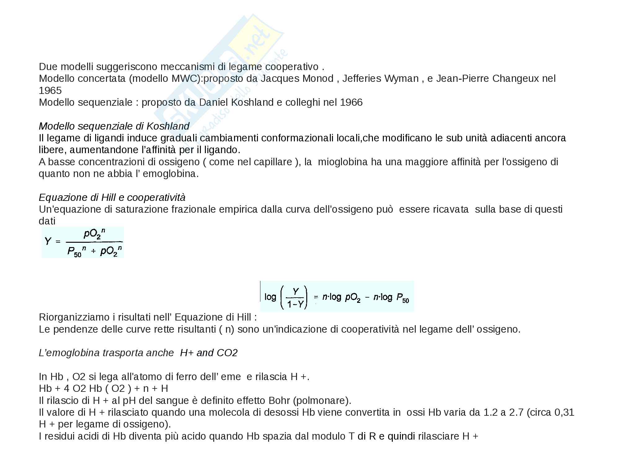 Amminoacidi Pag. 11