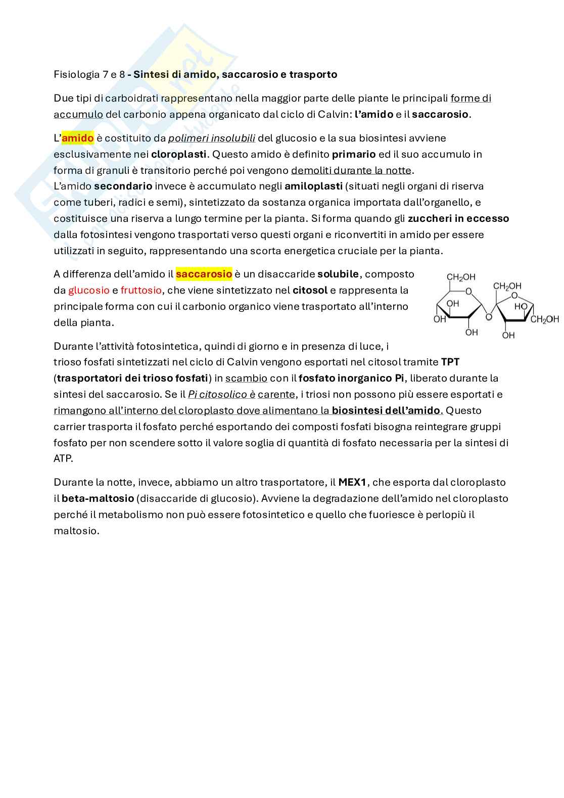 Amido, saccarosio e trasporto Pag. 1