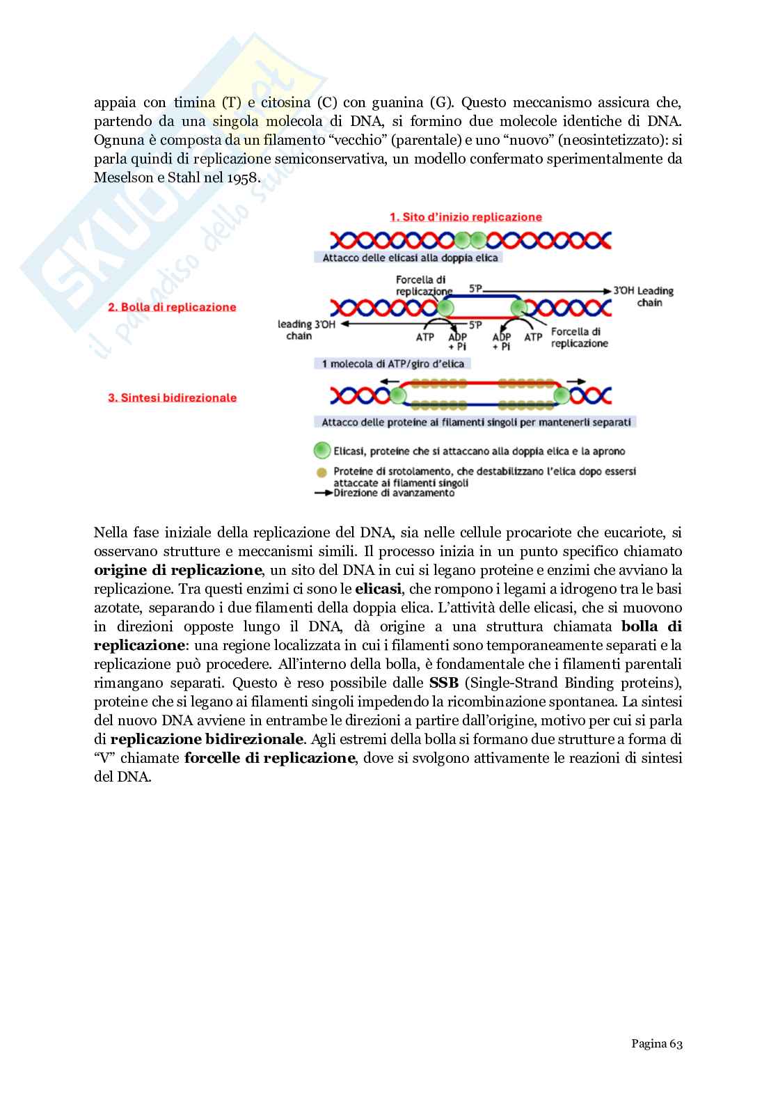 Biologia generale  Pag. 11