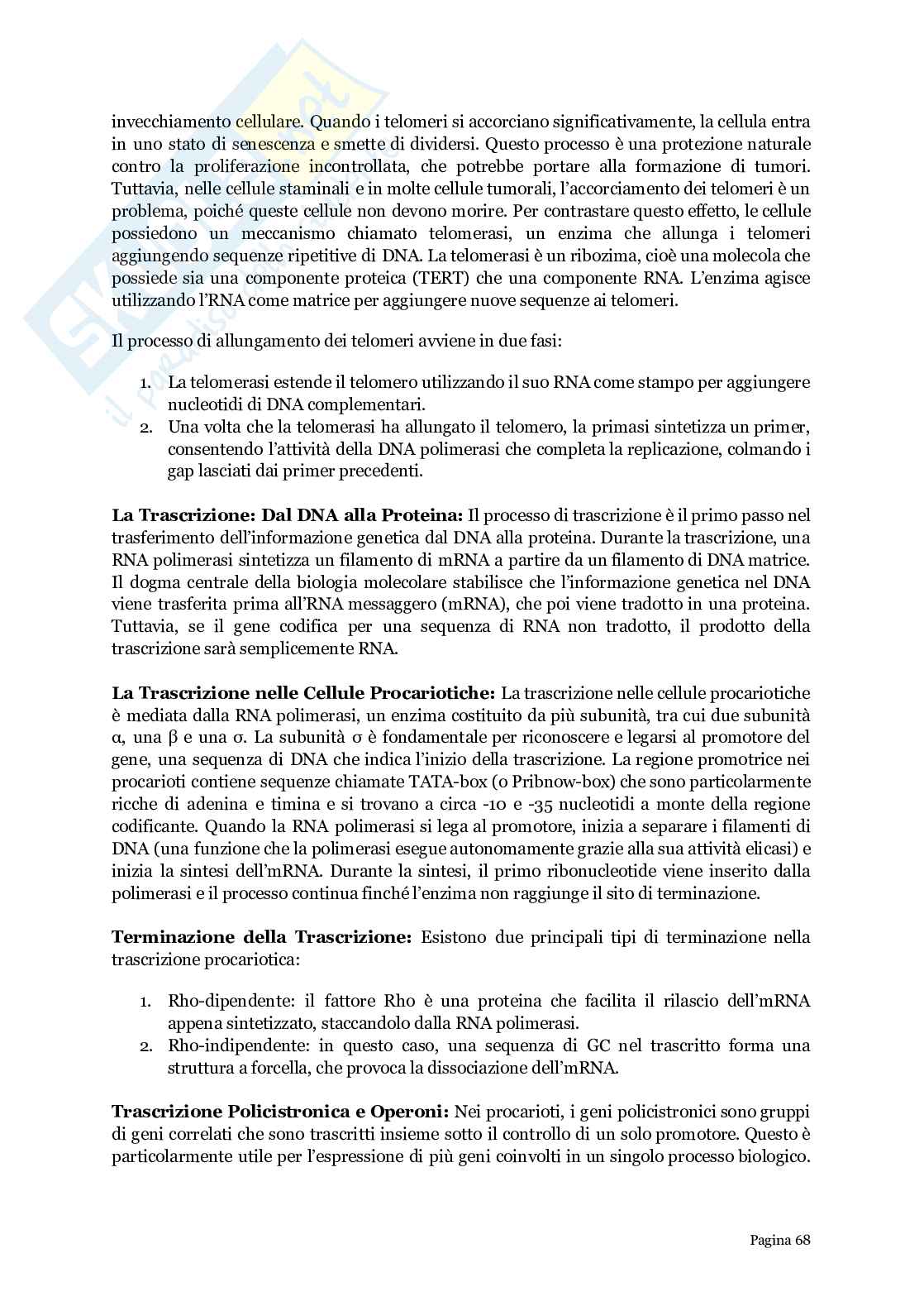 Biologia generale  Pag. 16