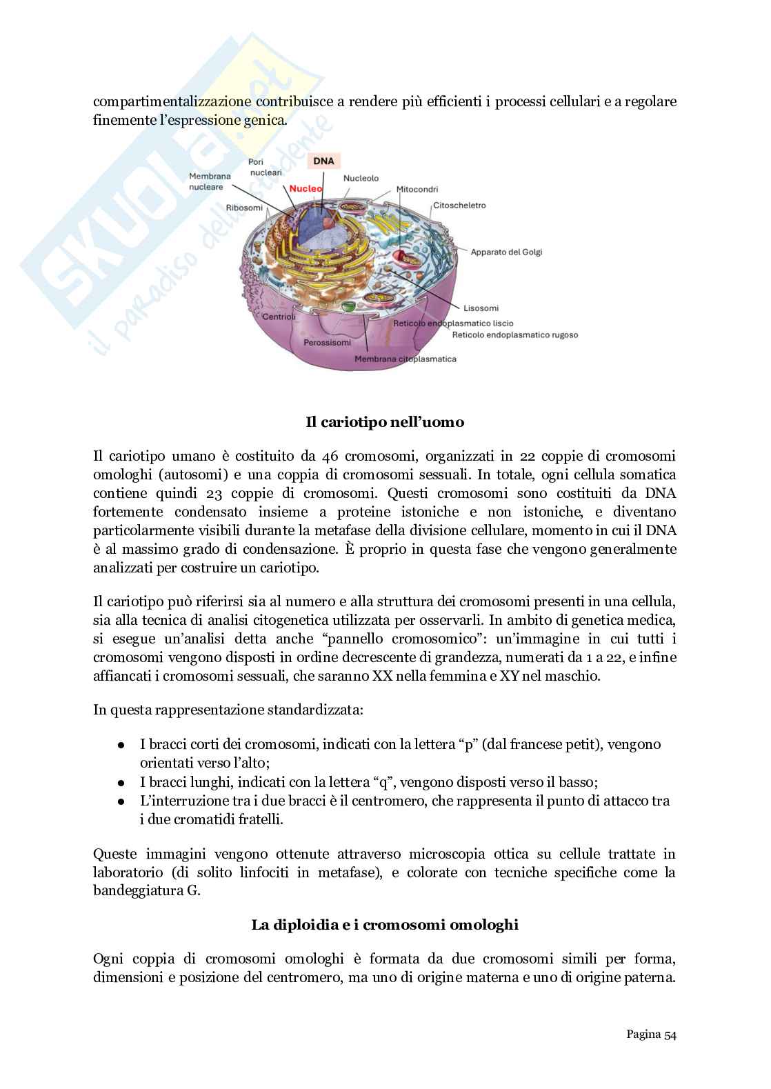 Biologia generale  Pag. 2