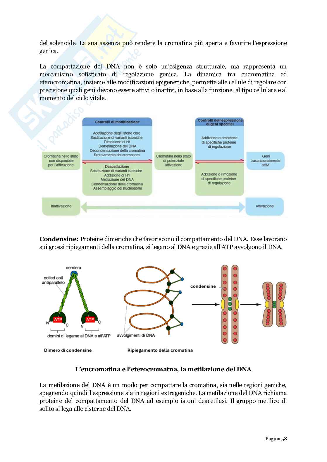 Biologia generale  Pag. 6