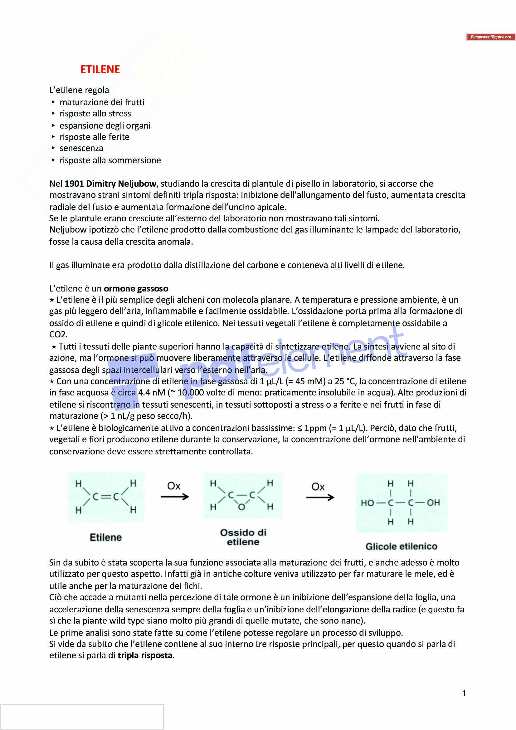 Etilene, brassinosteroidi e acido abscissico Pag. 1