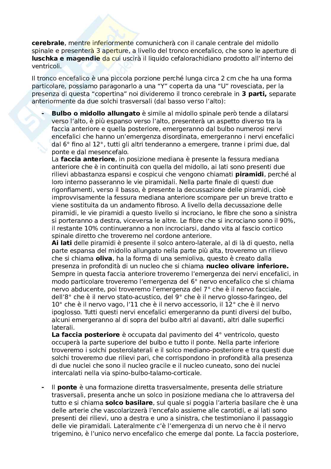 Sistema nervoso centrale Pag. 6