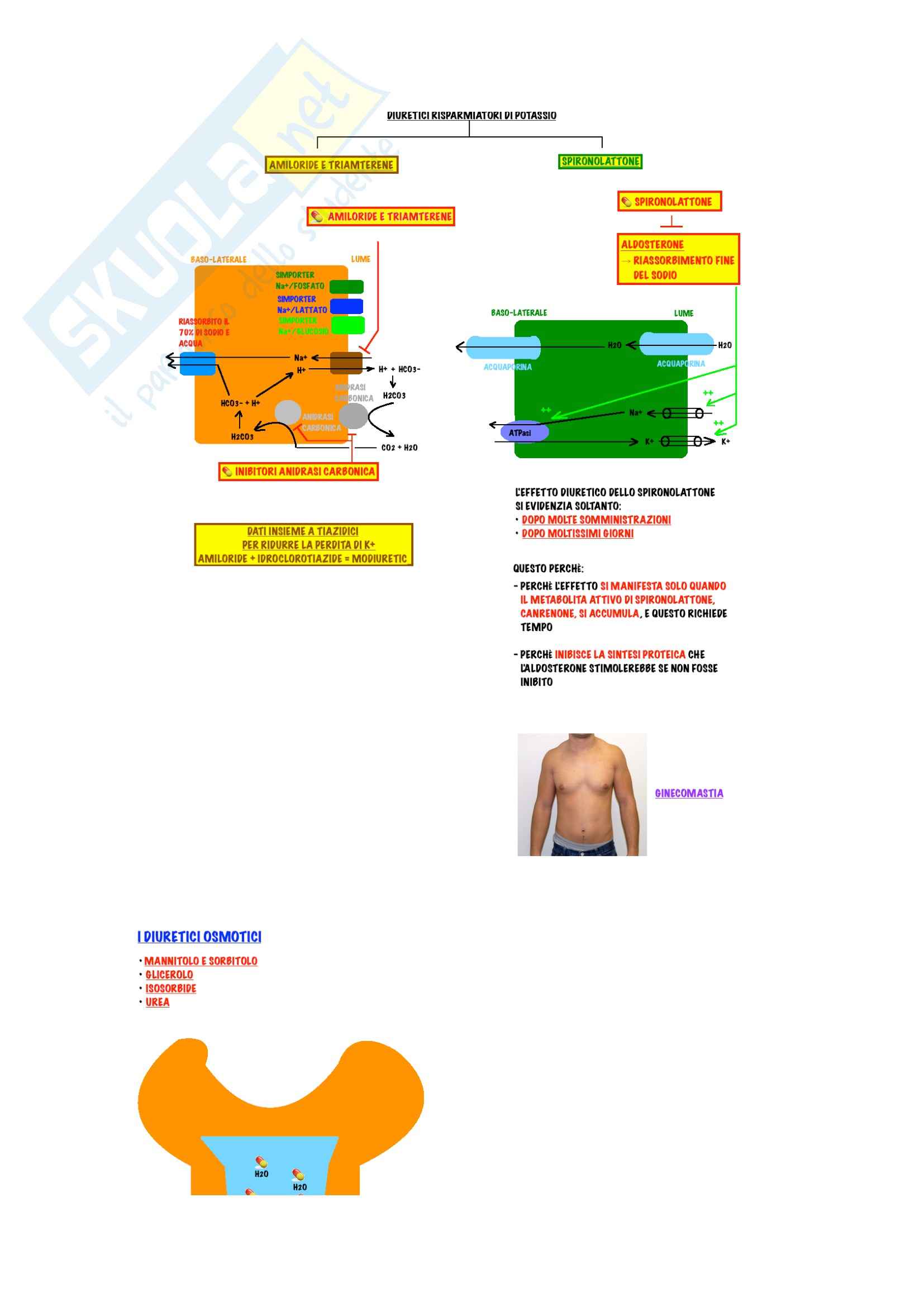 Farmacologia - diuretici Pag. 6