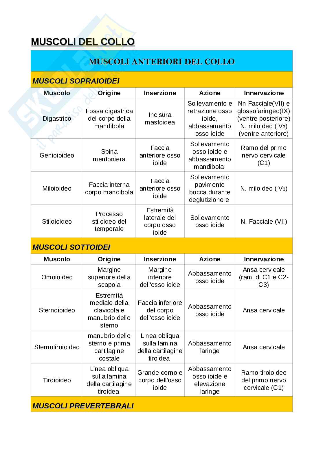 Riassunti di Anatomia 1: apparato locomotore Pag. 11