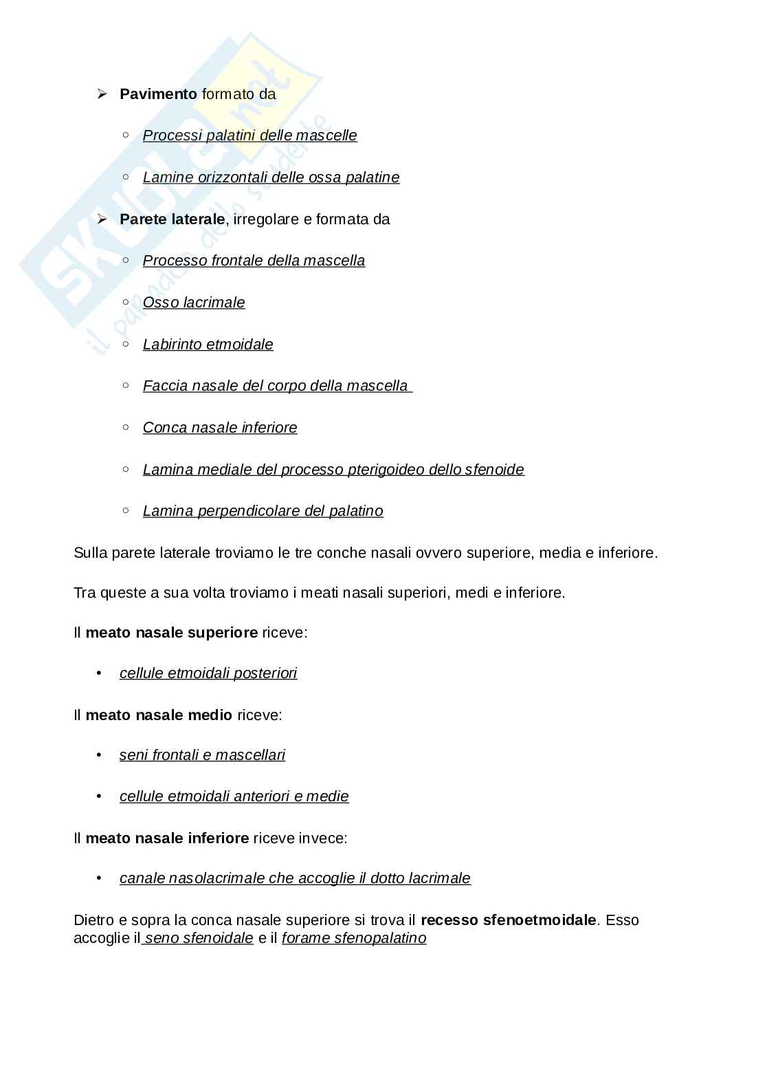 Riassunti di Anatomia 1: apparato locomotore Pag. 71