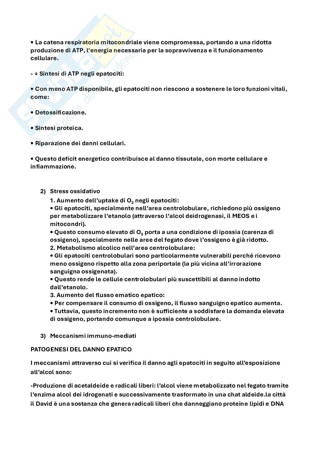 Appunti parziali Patologia cellulare Pag. 11