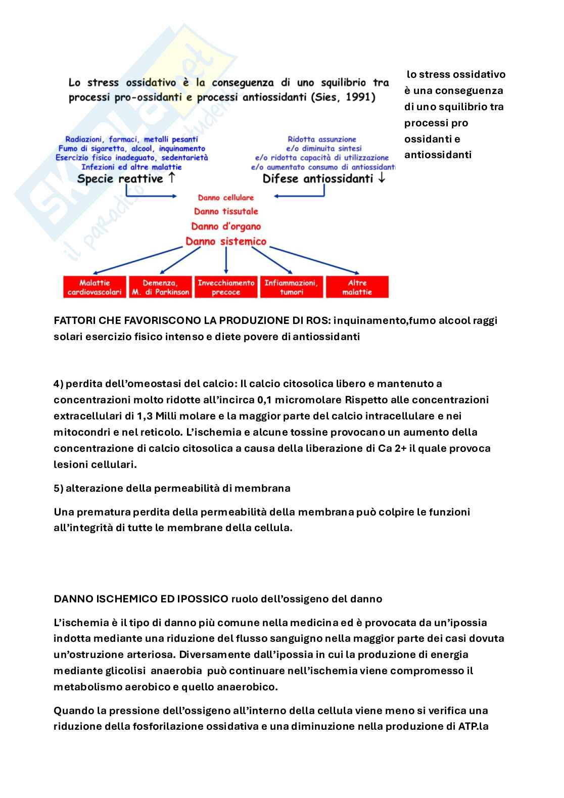 Appunti parziali Patologia cellulare Pag. 6