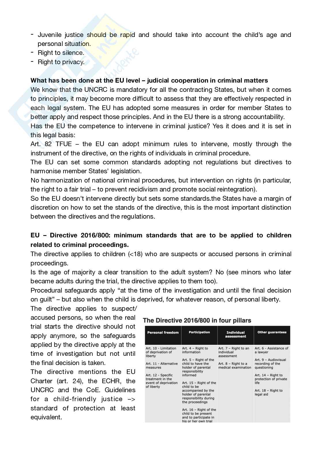 Appunti completi Eu Law and Global Challenges Pag. 16
