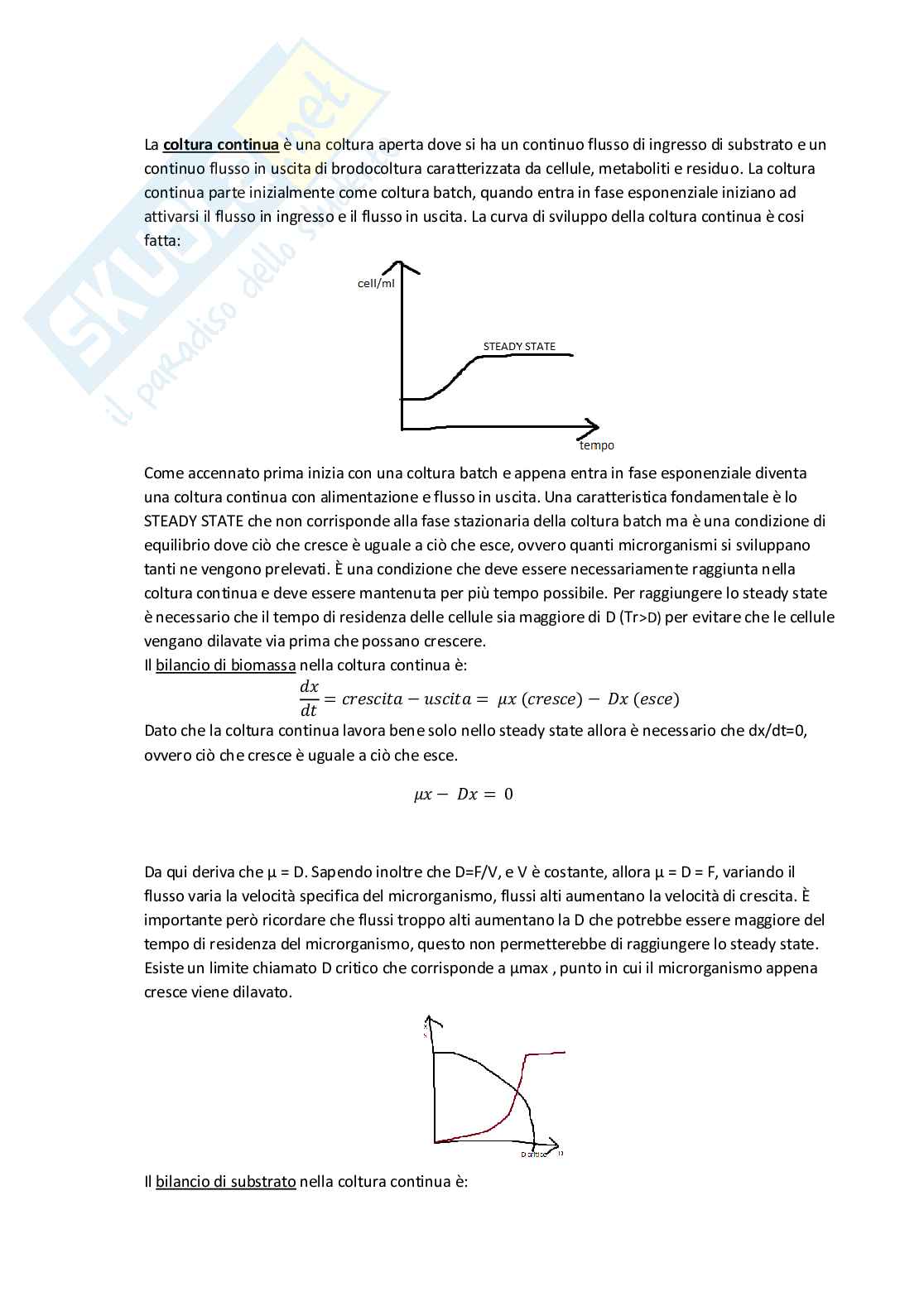 Domande aperte svolte di fermentazioni industriali Pag. 11