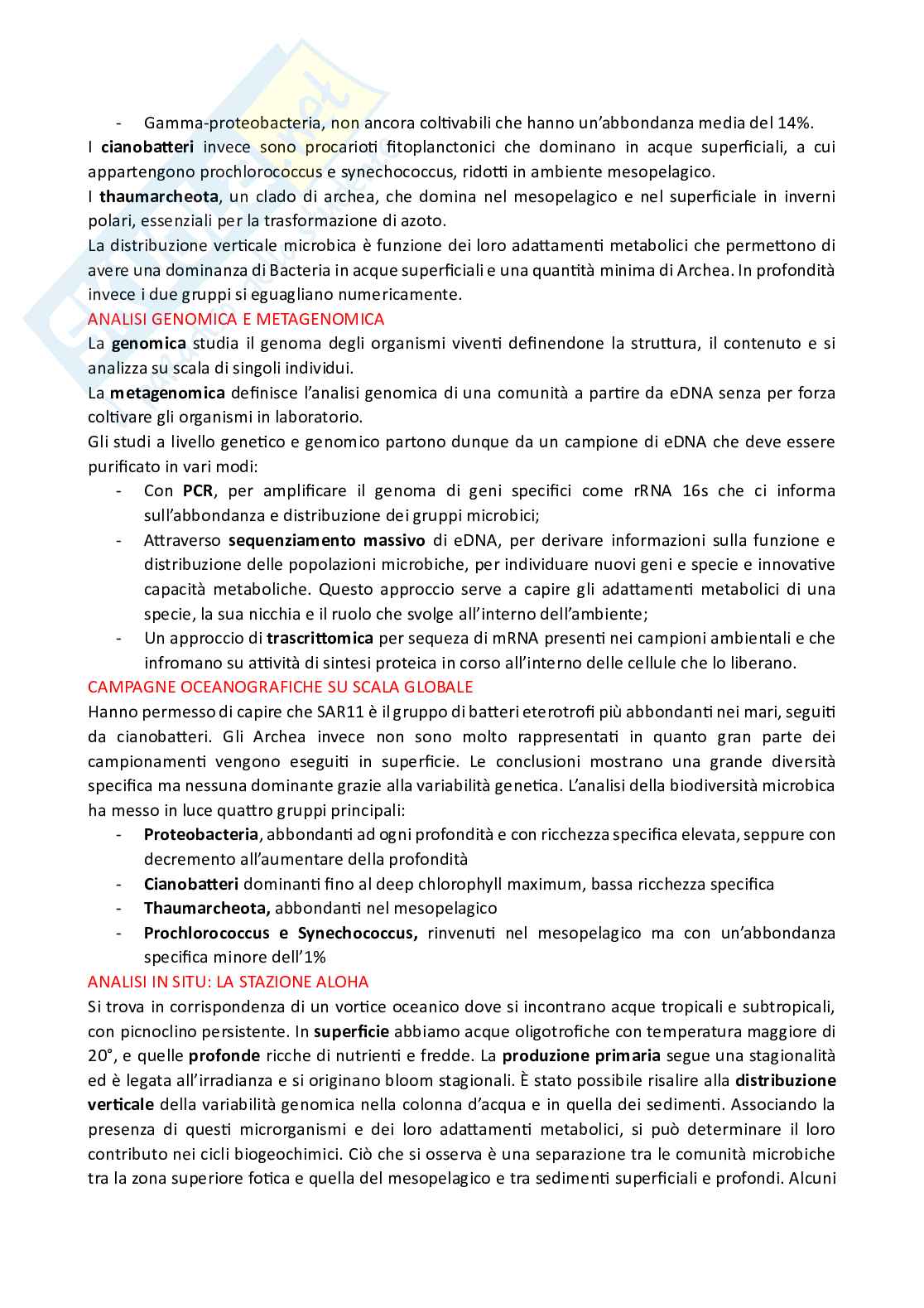 Microbiologia marina e cicli biogeochimici  Pag. 2