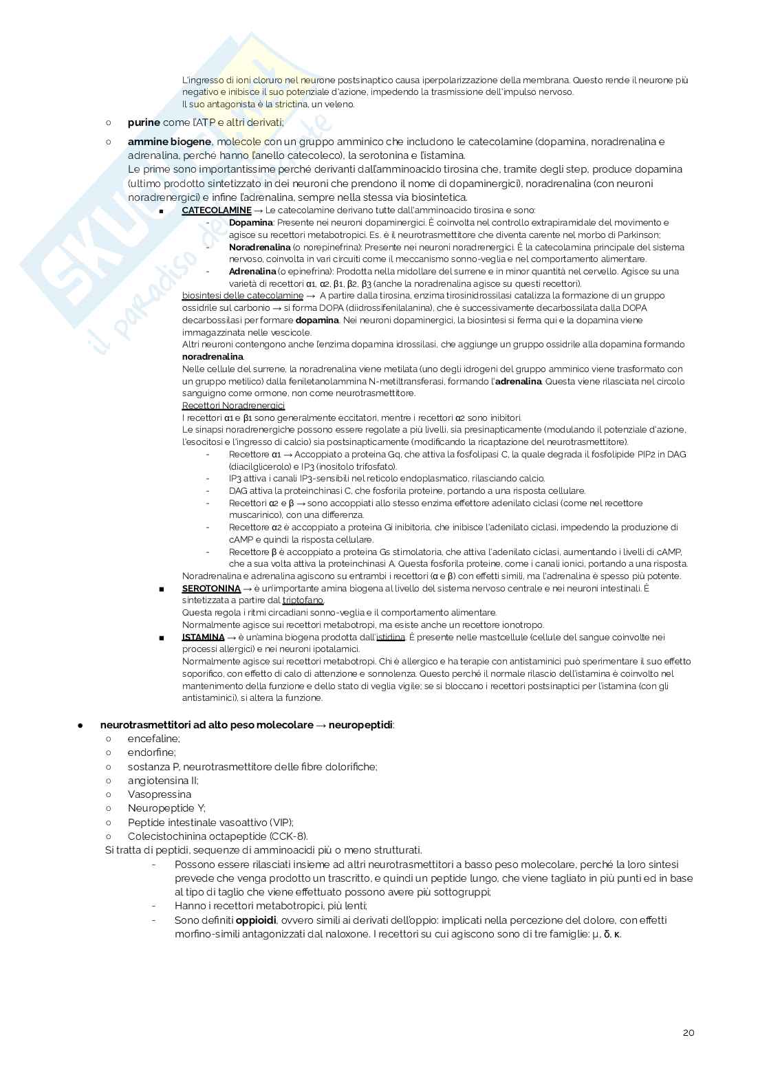Appunti di Fisiologia umana Pag. 21