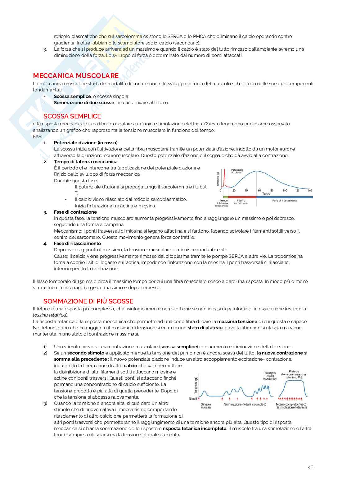 Appunti di Fisiologia umana Pag. 41