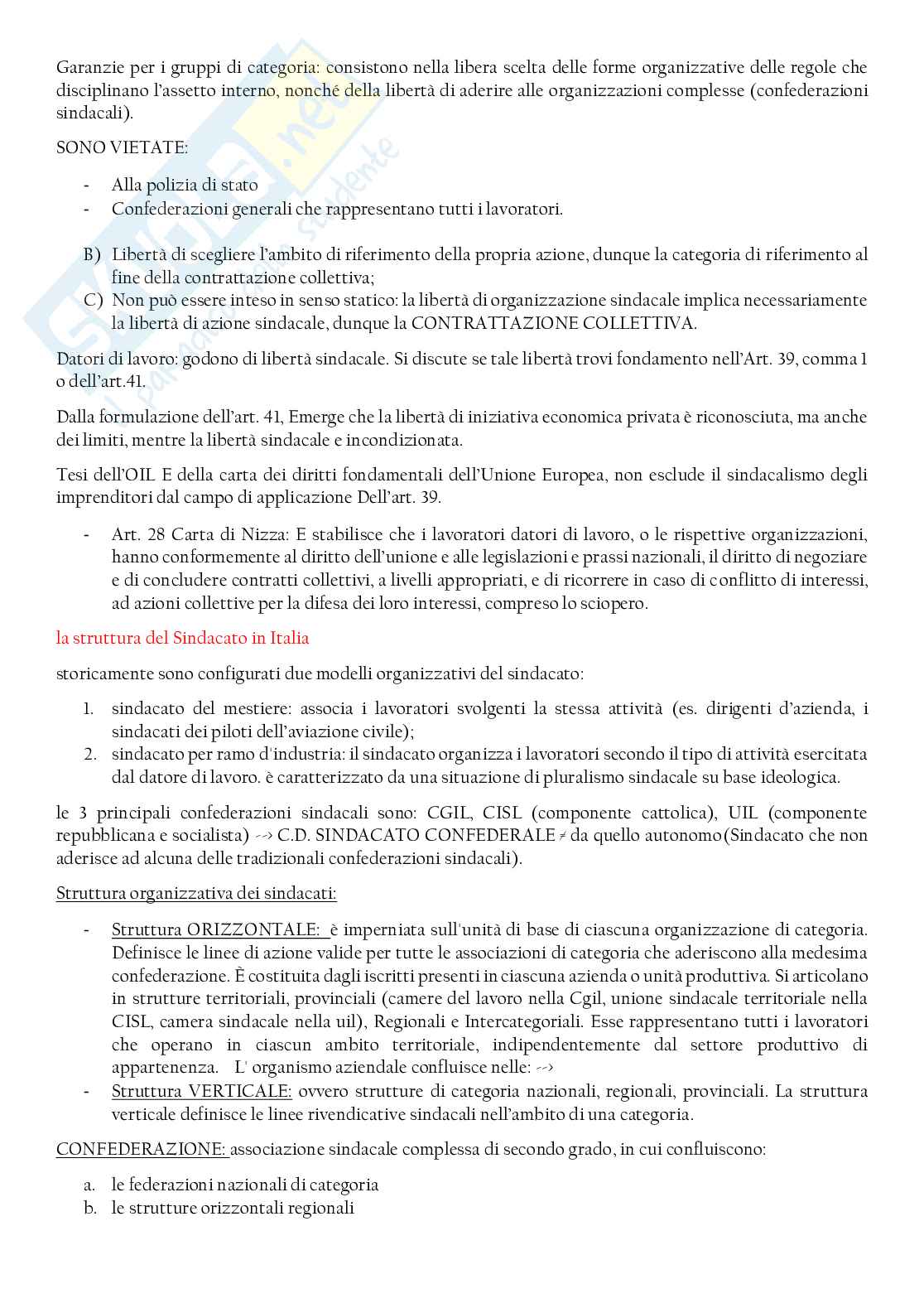 Riassunto esame Diritto del lavoro, Prof. Topo Adriana, libro consigliato Diritto sindacale, Magnani Pag. 2