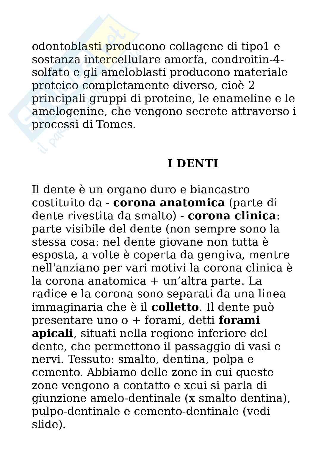 istologia speciale Pag. 16