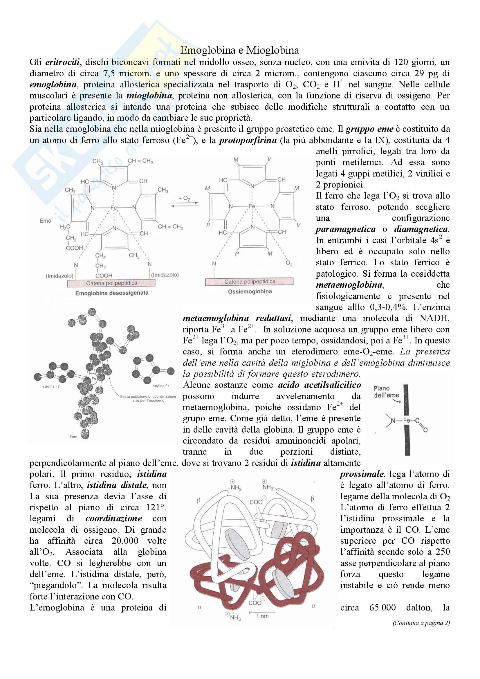 Biochimica - Emoglobina Hb Pag. 1