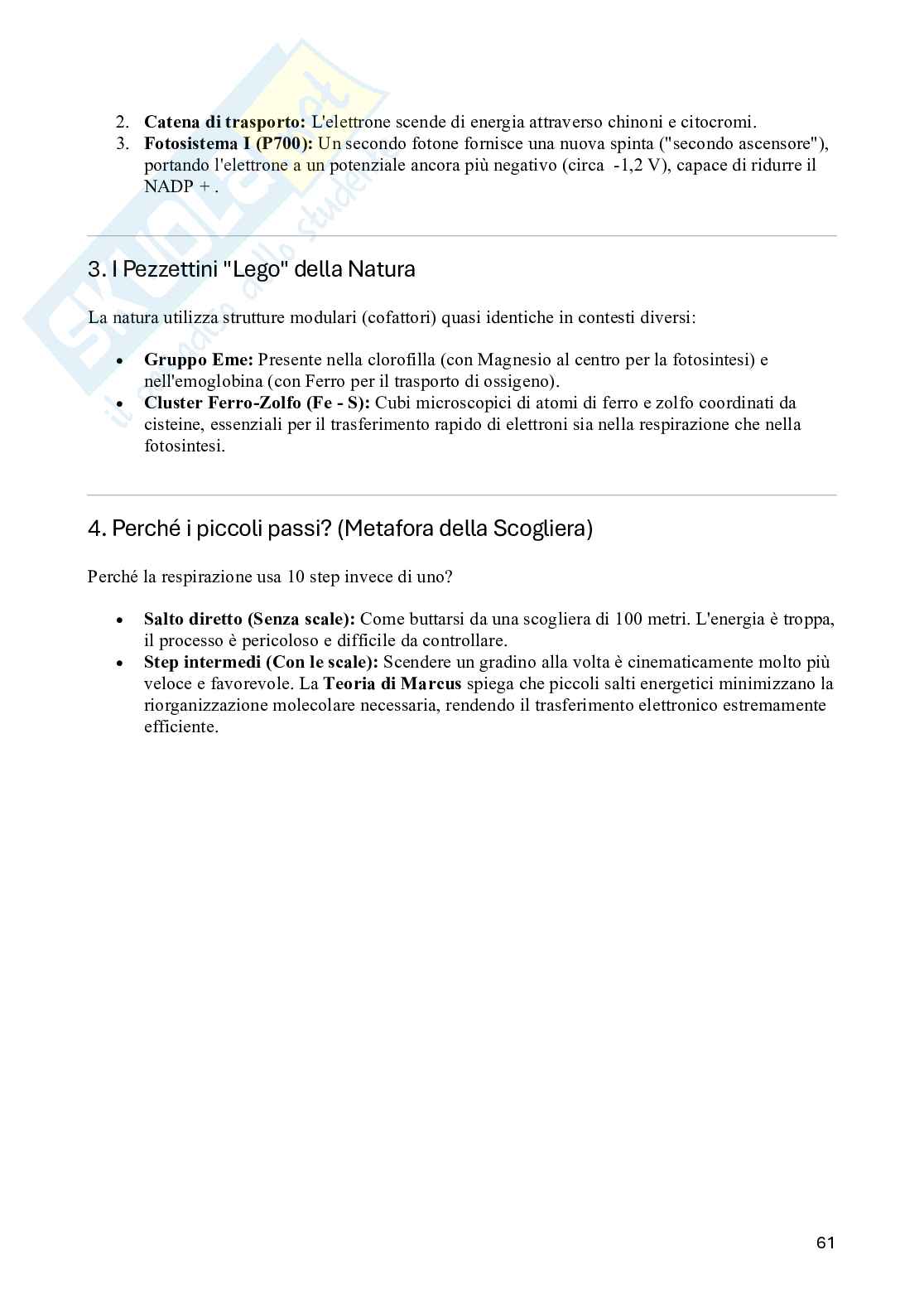 Appunti Chimica inorganica Pag. 61