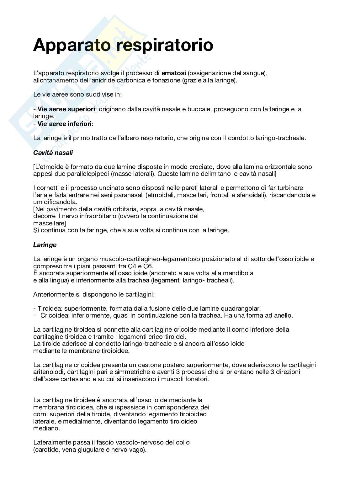 Apparato respiratorio  Pag. 1