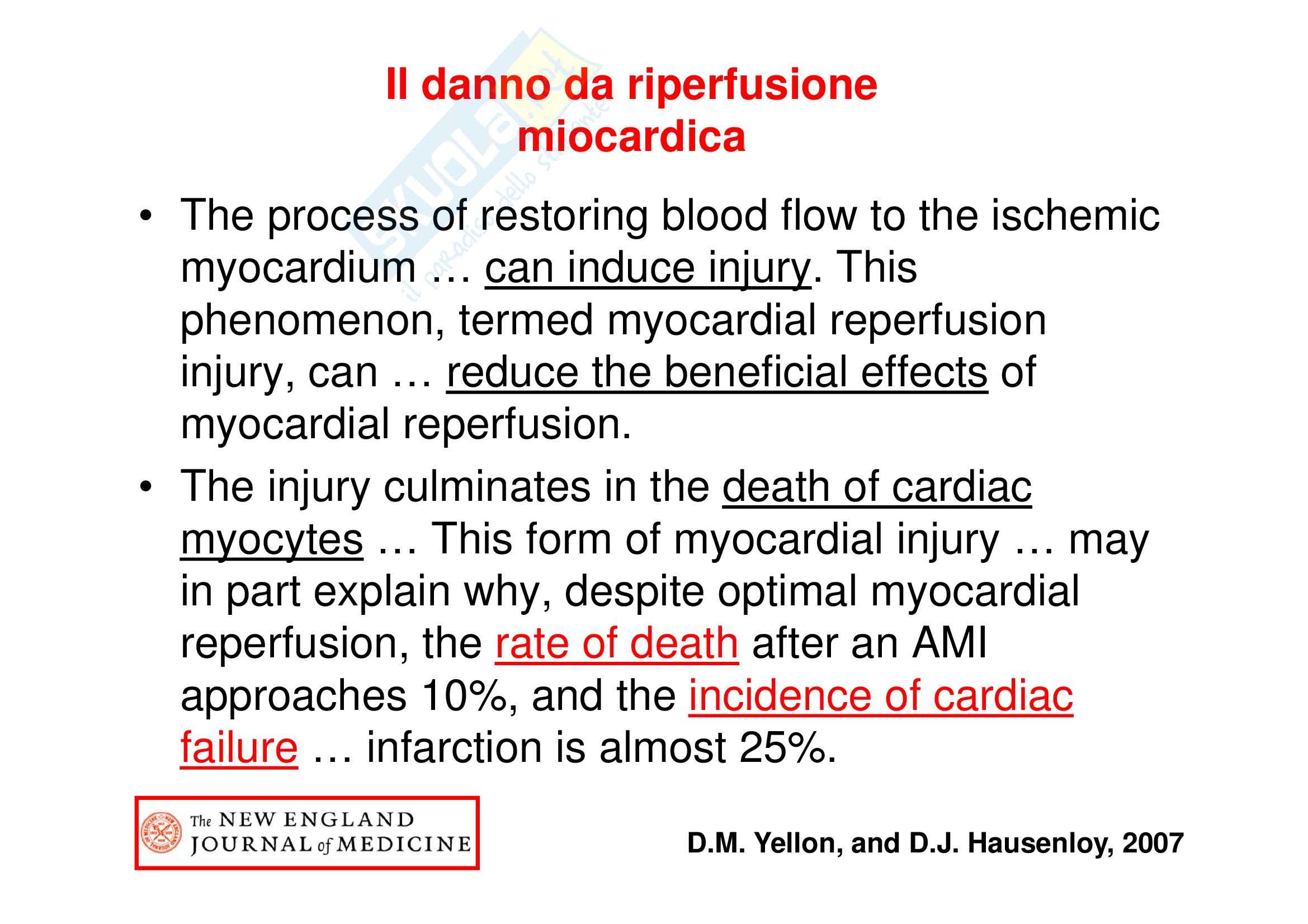 Appunti di Medicina Interna sul cuore Pag. 56