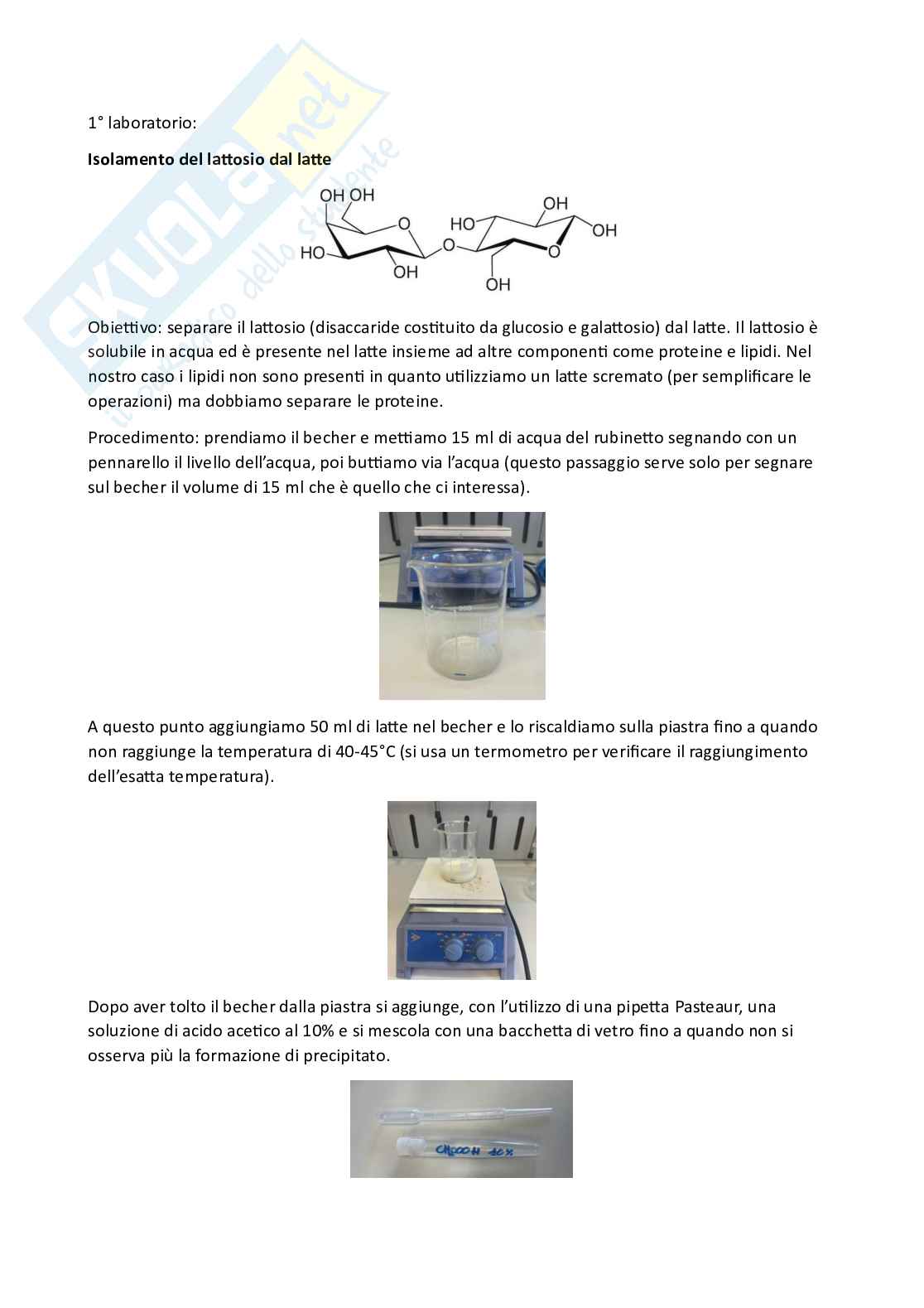 Appunti Laboratorio del corso struttura e funzione delle molecole organiche negli alimenti Pag. 2