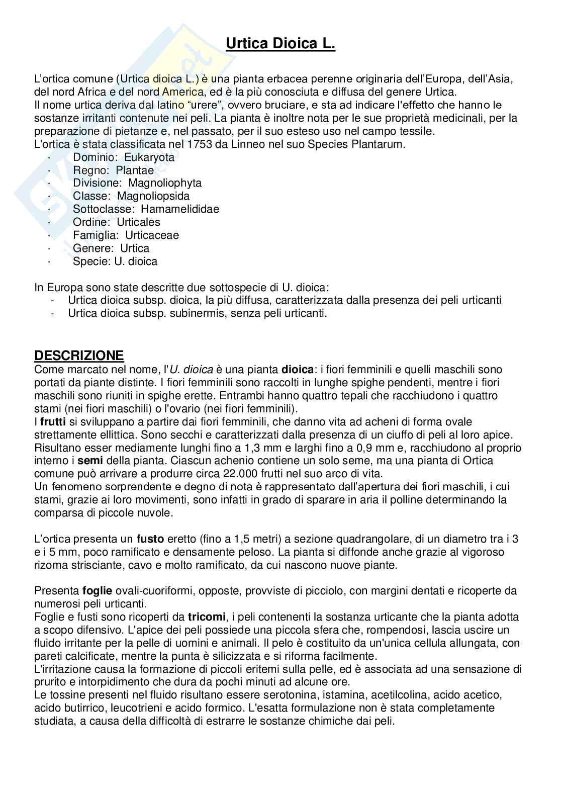 Urtica dioica Pag. 1