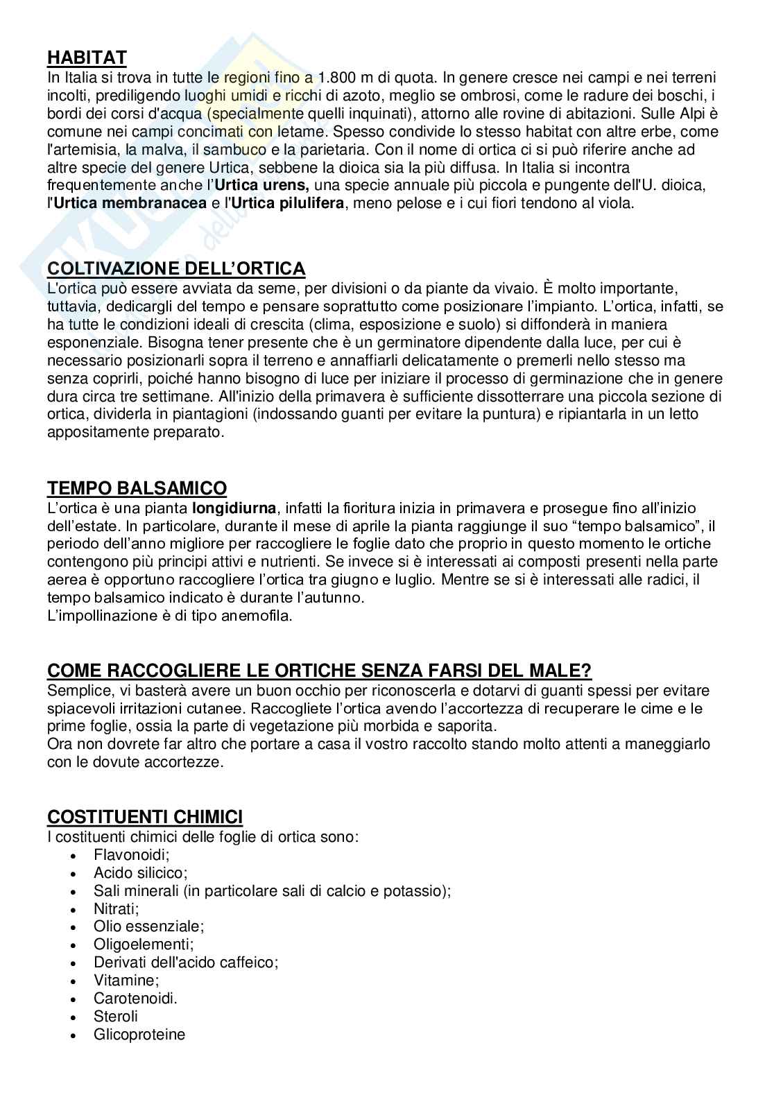 Urtica dioica Pag. 2