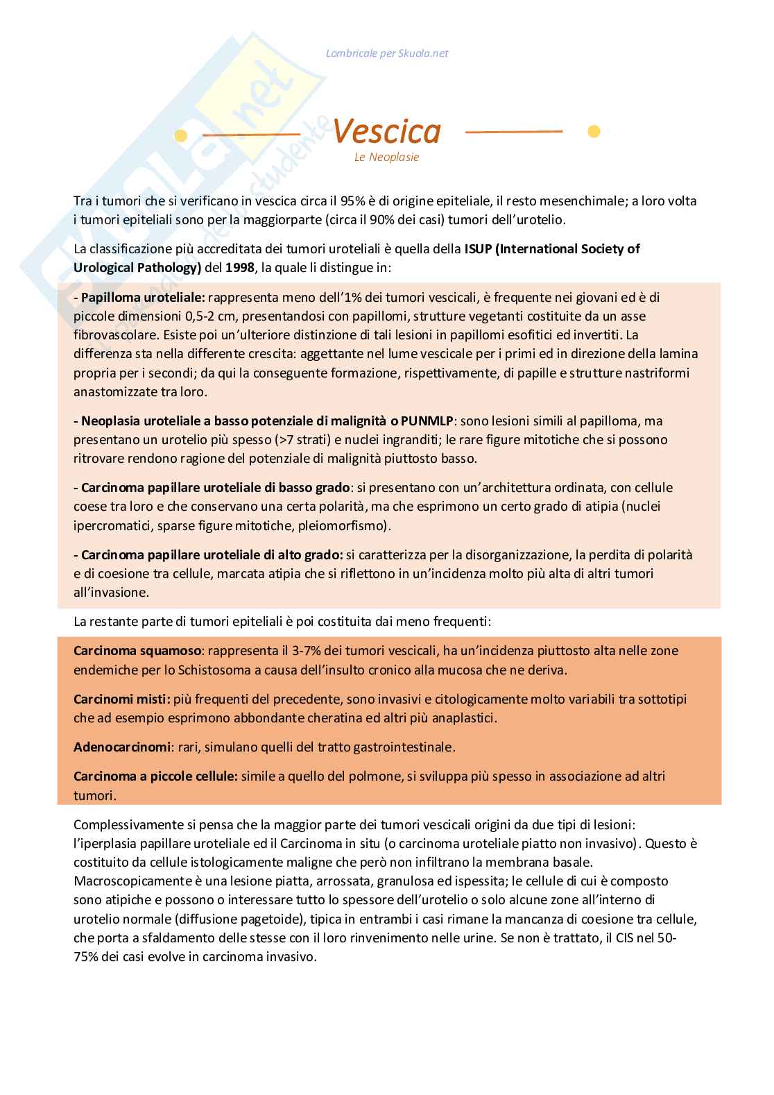 Anatomia patologica dell'apparato genito urinario maschile Pag. 1