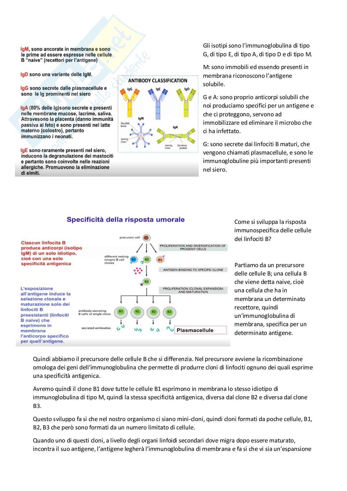 Patologia generale parte 2 Pag. 11