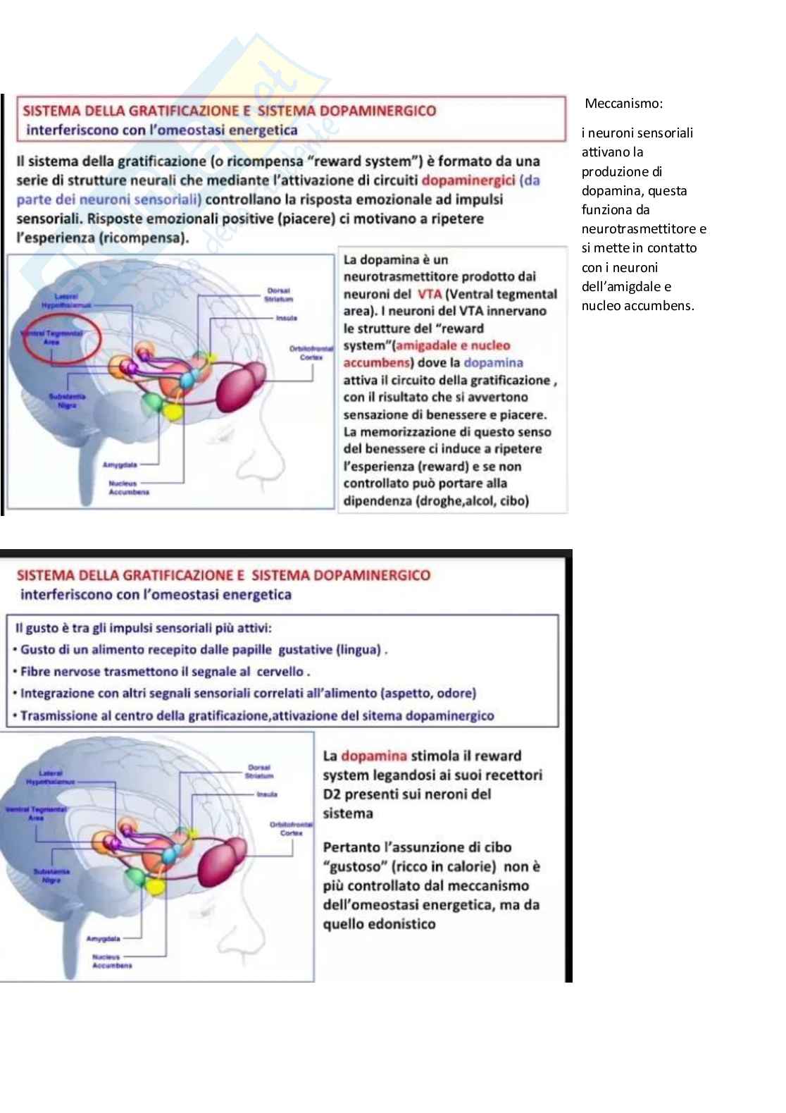 Patologia generale parte 2 Pag. 86