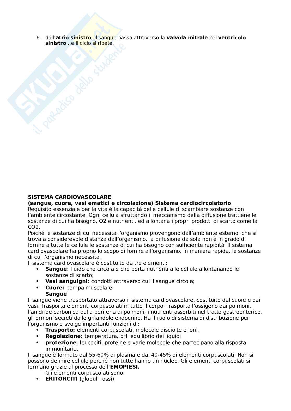 Apparato respiratorio Pag. 21