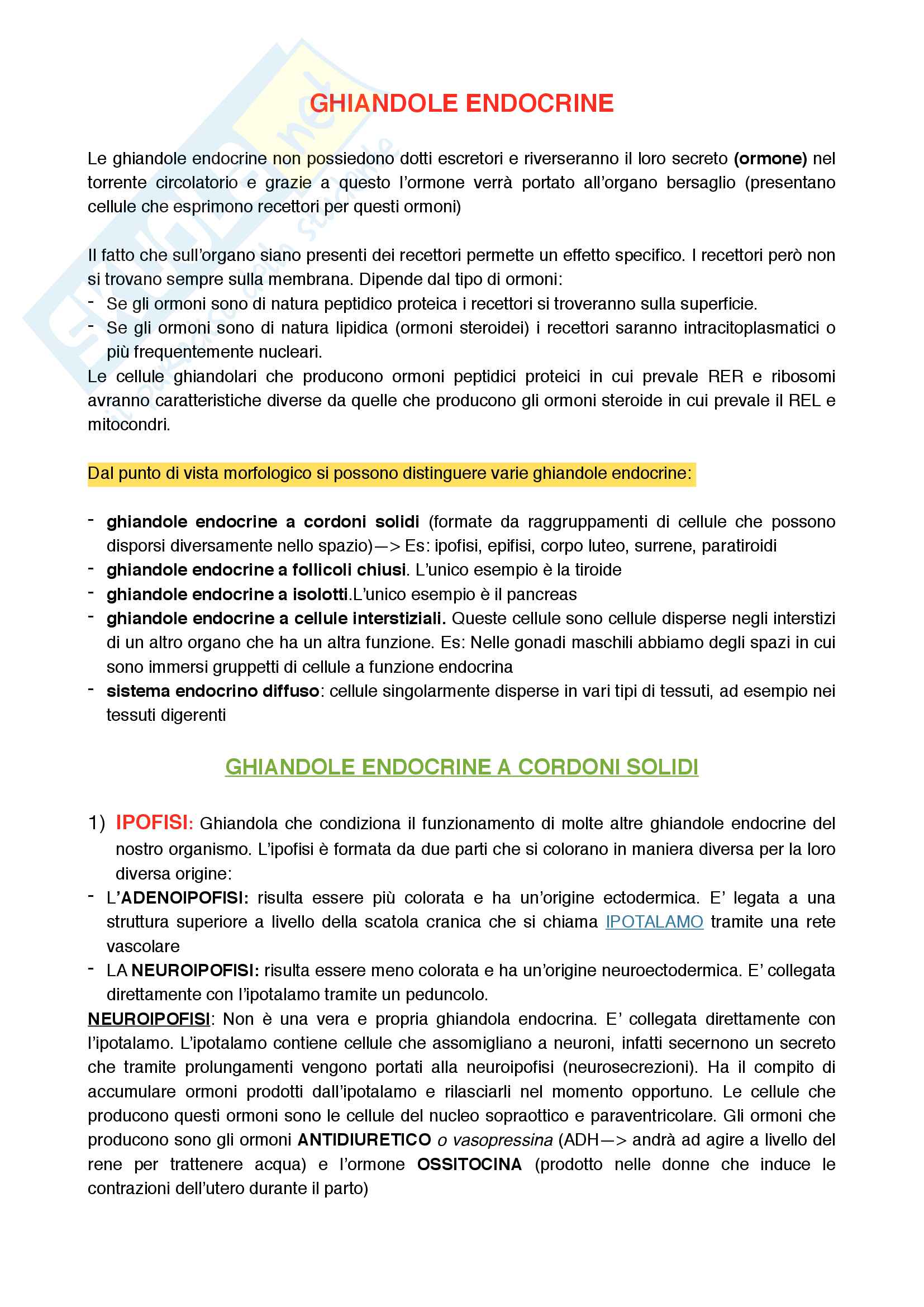 Epiteli secernenti: ghiandole endocrine Pag. 1