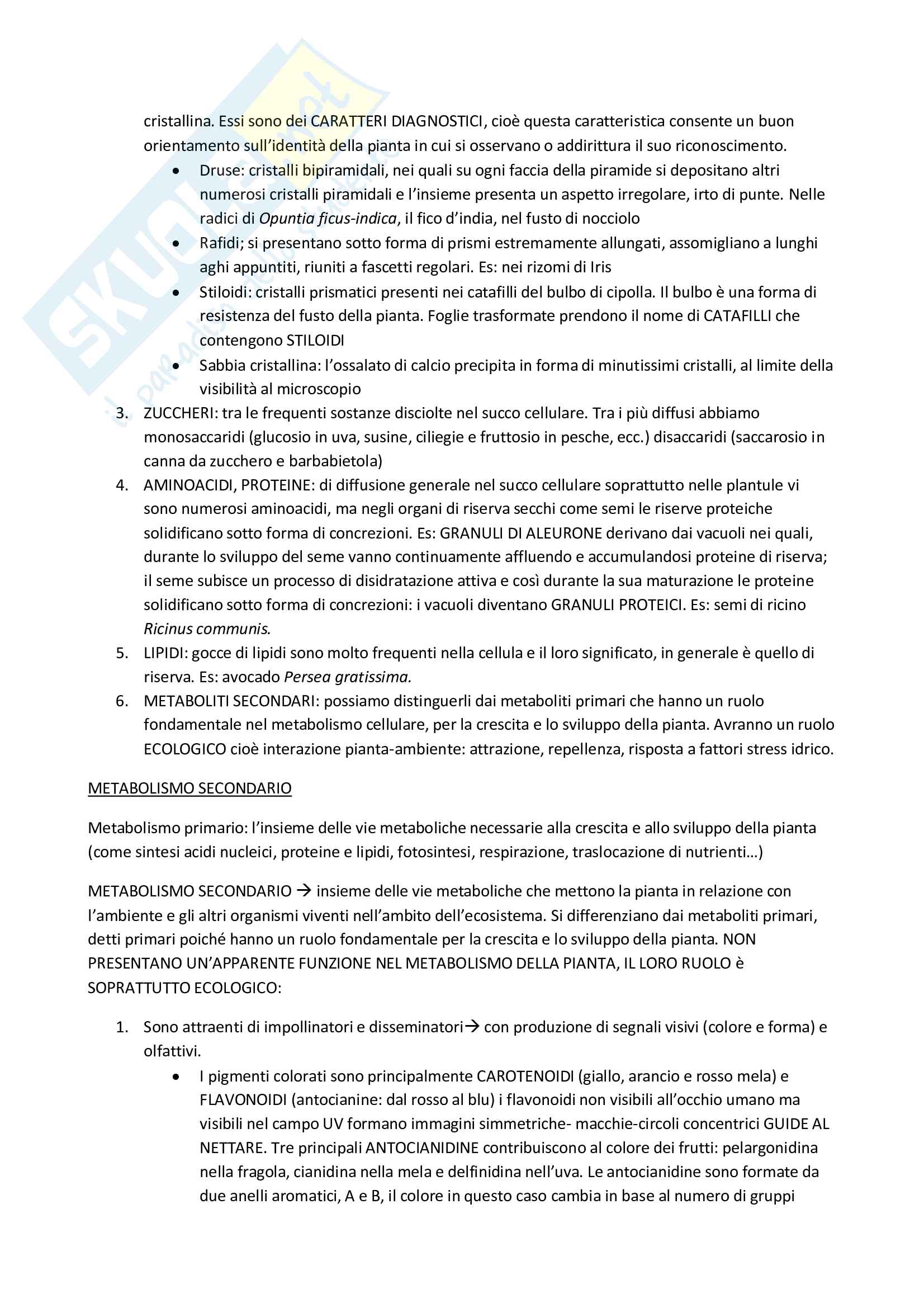 Biologia vegetale 2 Pag. 11