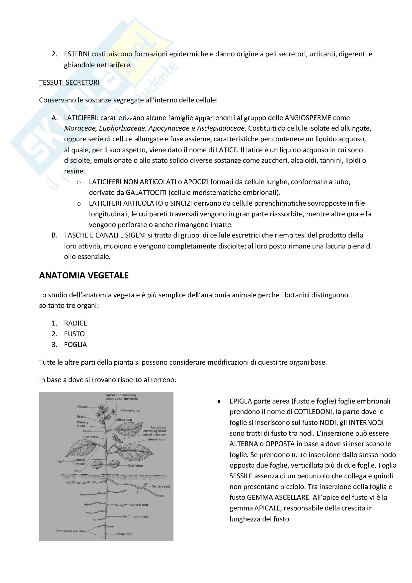Biologia vegetale 2 Pag. 26