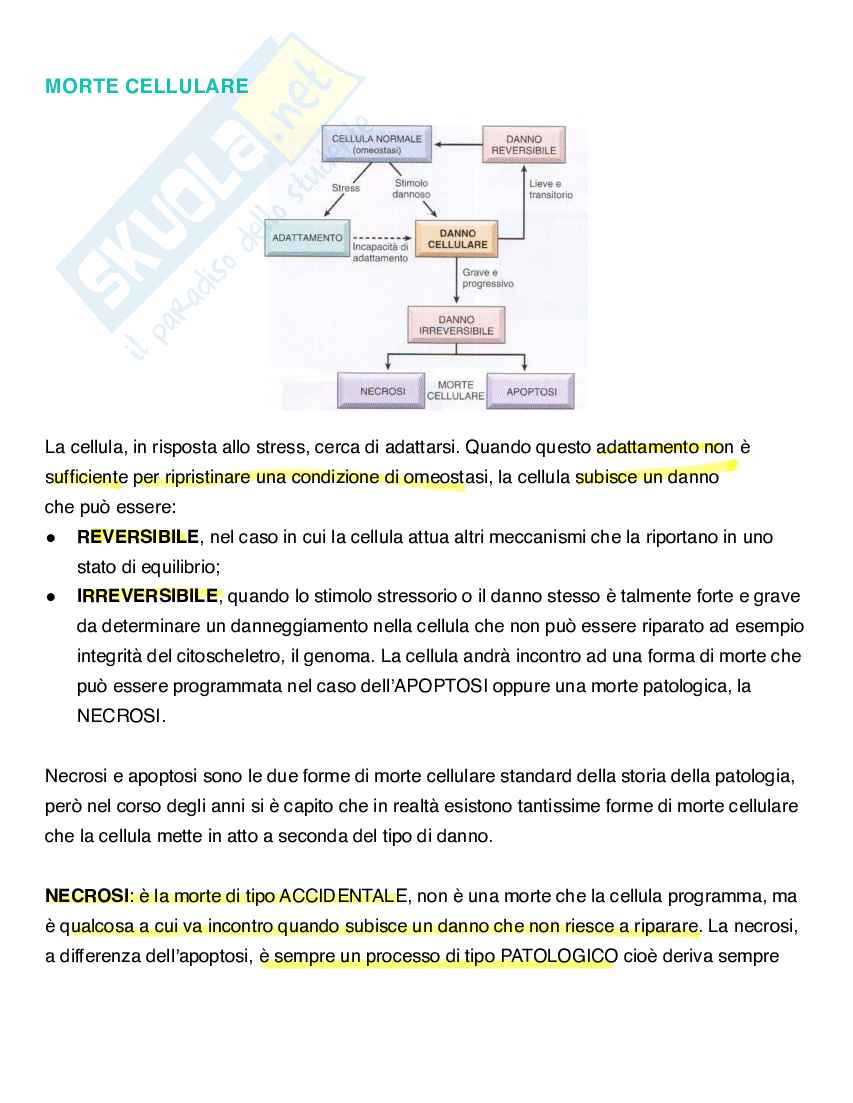 Apoptosi e morte cellulare Pag. 1