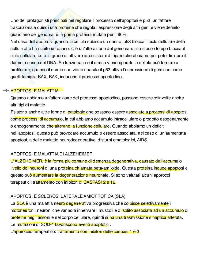 Apoptosi e morte cellulare Pag. 11