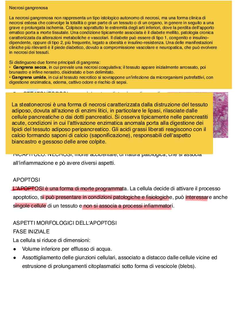 Apoptosi e morte cellulare Pag. 6
