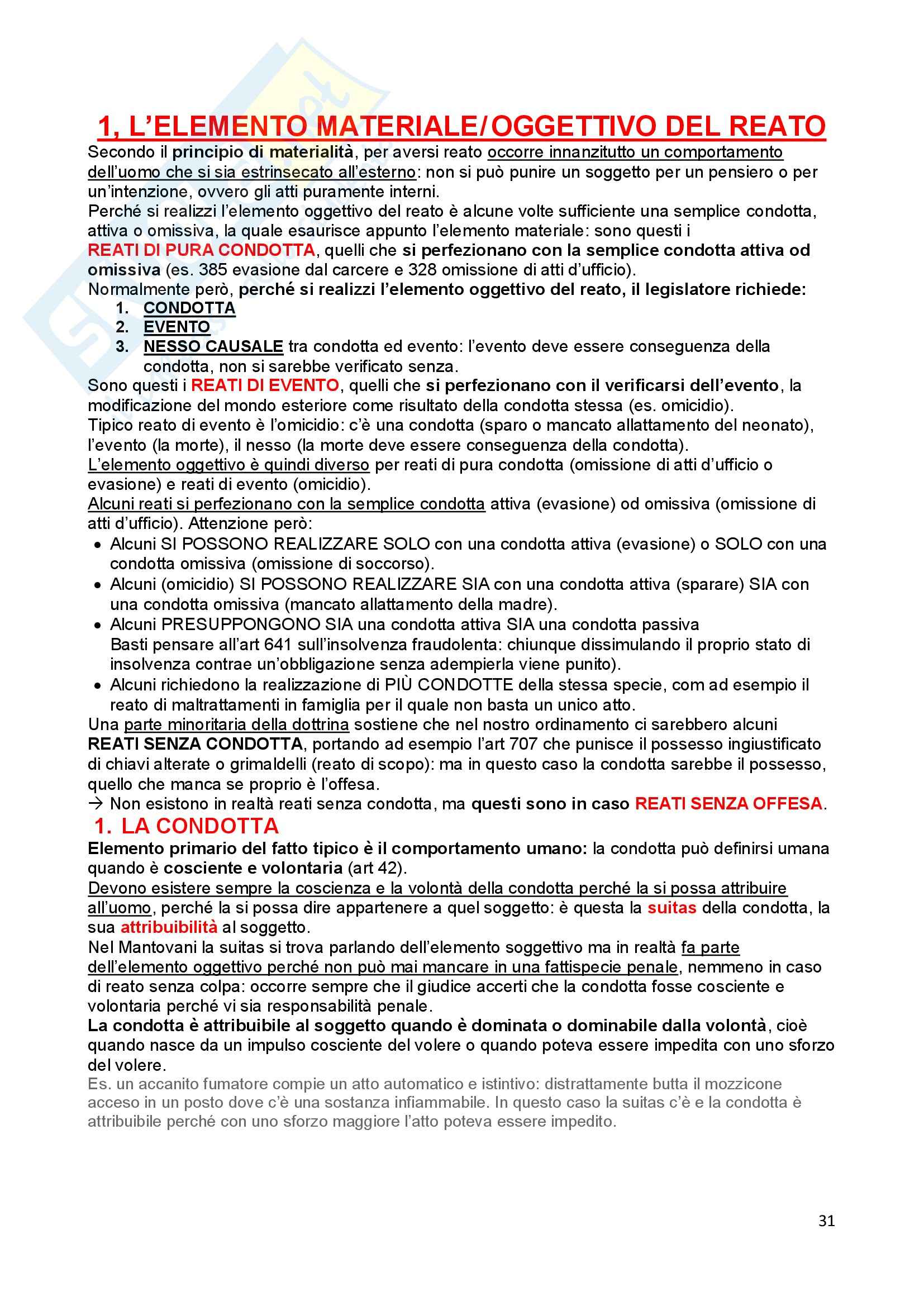 Diritto penale - Appunti Pag. 31
