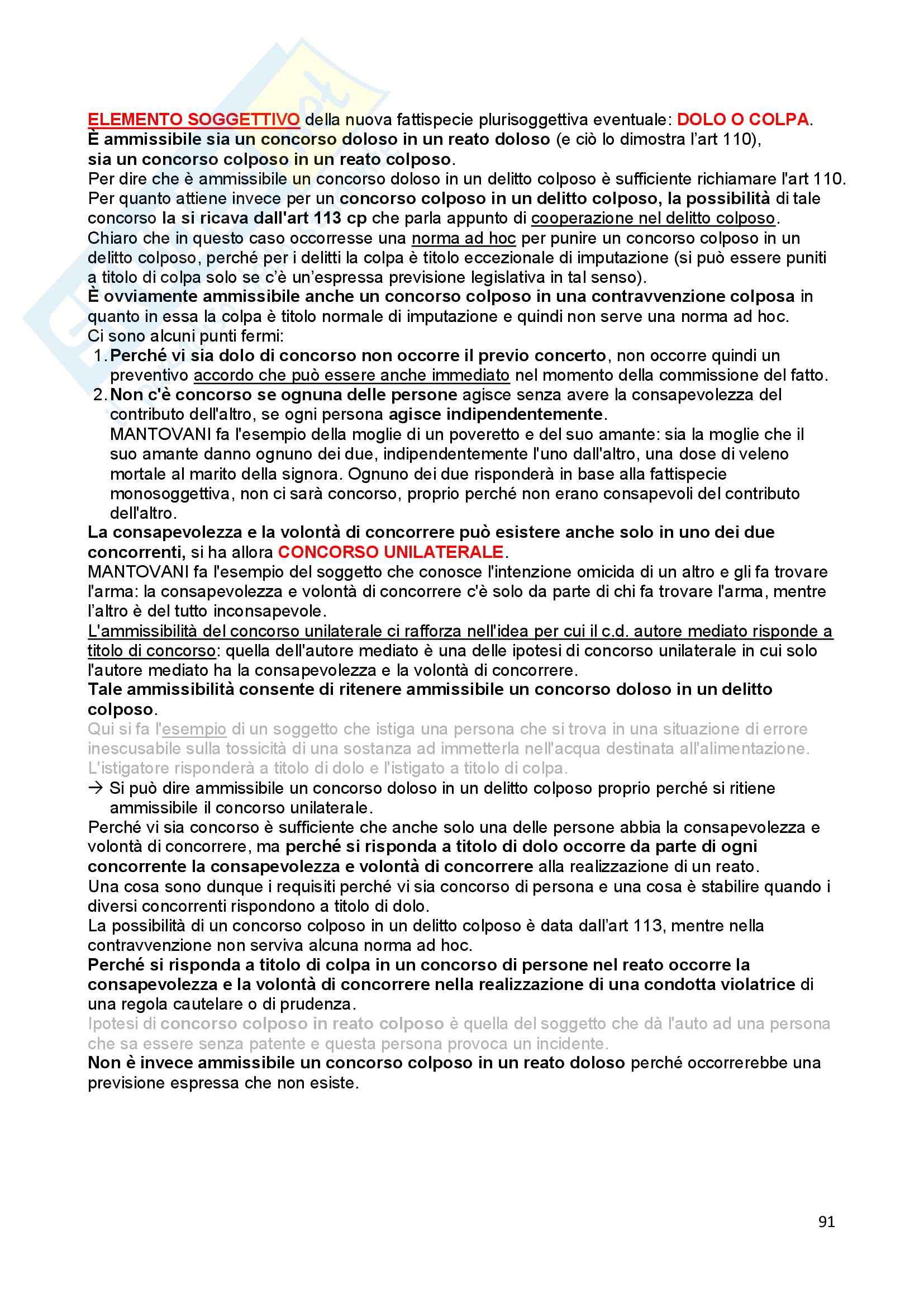 Diritto penale - Appunti Pag. 91